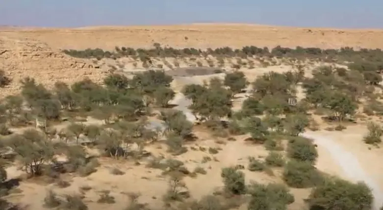 200 ألف شجرة جديدة و37 غزالًا يستقبلون المتنزهين في متنزه حريملاء الوطني
