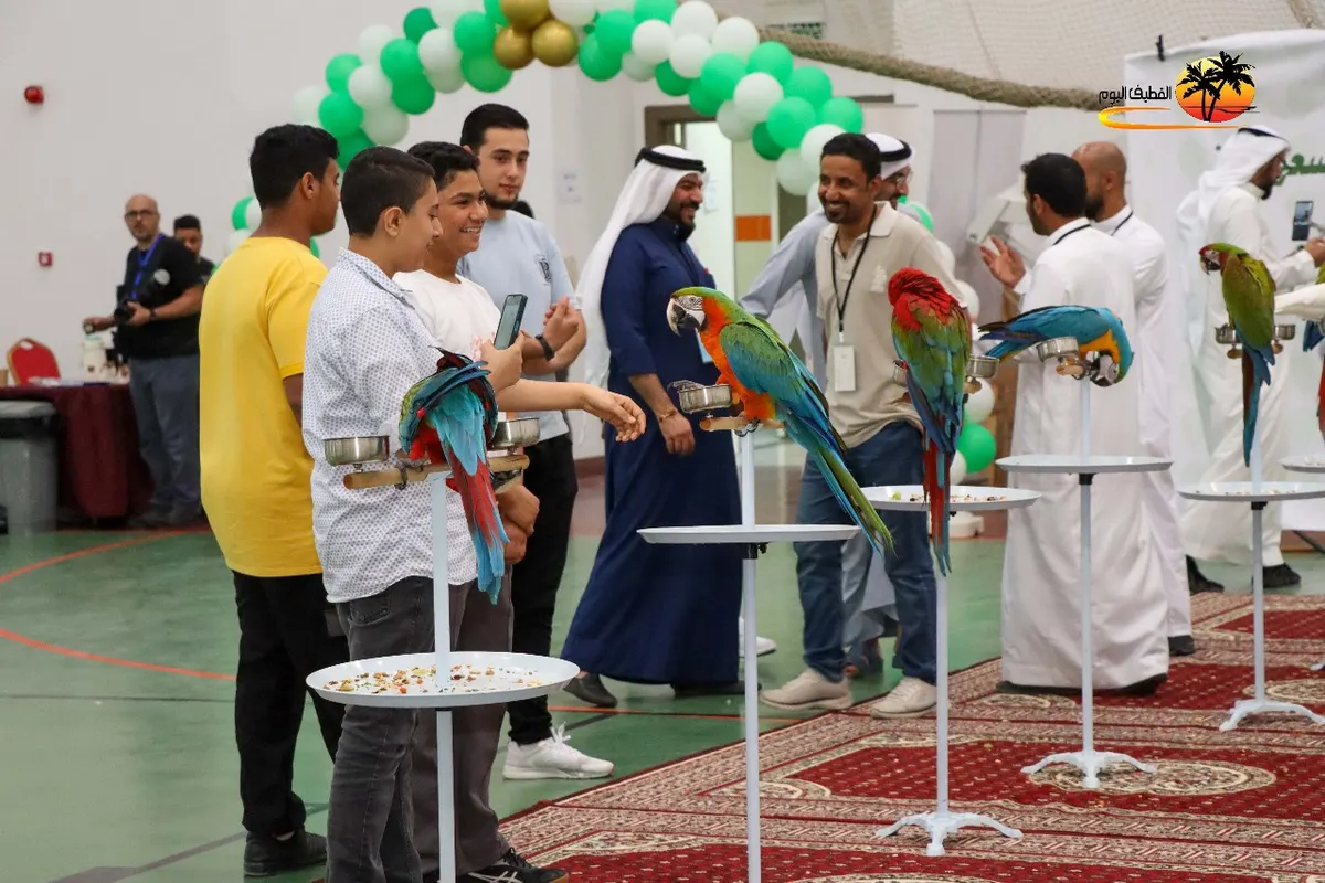 بالصور والفيديو.. طيور الحب والكوكاتيل والبادجي والجولديان فينش تتباهى بجمالها وسحر ألوانها.. في «ترجي القطيف»