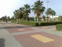 بعد مهرجان الزهور.. البلدية تطرح «منتزه سيهات العام» للاستثمار