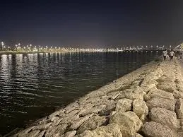 بتعاون مع أرامكو والزراعة والتنمية.. بلدية القطيف تغرس 25 ألف شجرة في كورنيش المشاري