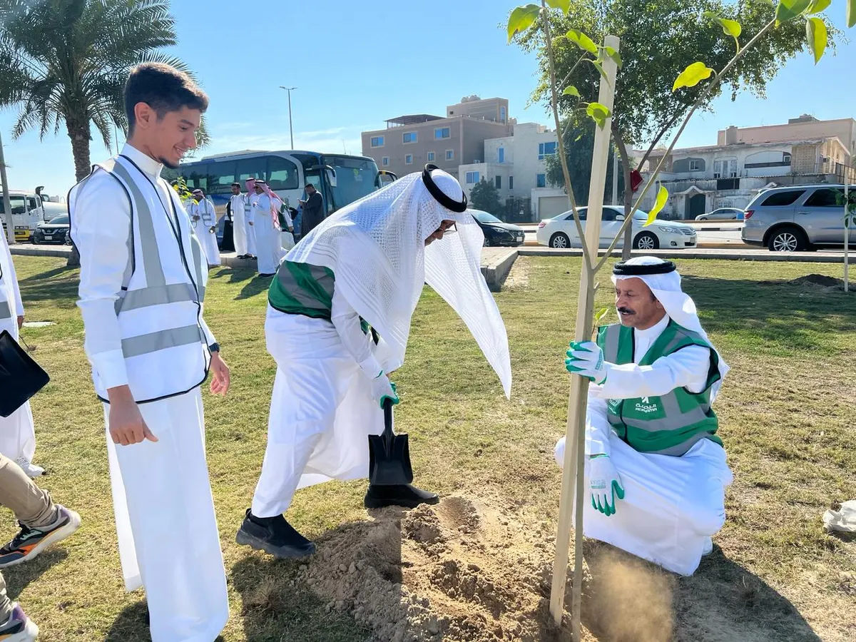 بلدية القطيف: تشجير 16 موقعًا في مدن وبلدات القطيف بزراعة أكثر من 9 آلاف شجرة ضمن المرحلة الأولى لمبادرة «مساحة خضراء»