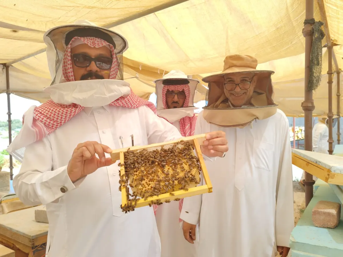 في القطيف.. مكتب وزارة البيئة والمياه والزراعة بالمحافظة يقف على مبادرة عسل المانجروف الرابعة