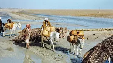 هكذا كان عبور البحر بين القطيف وجزيرة تاروت قديماً