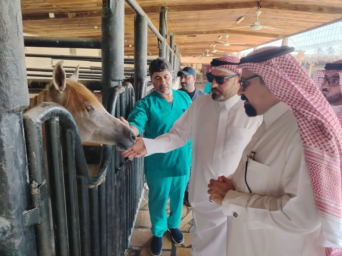 مدير مكتب وزارة البيئة والمياه والزراعة بمحافظة القطيف يتفقد إسطبلات الخيول