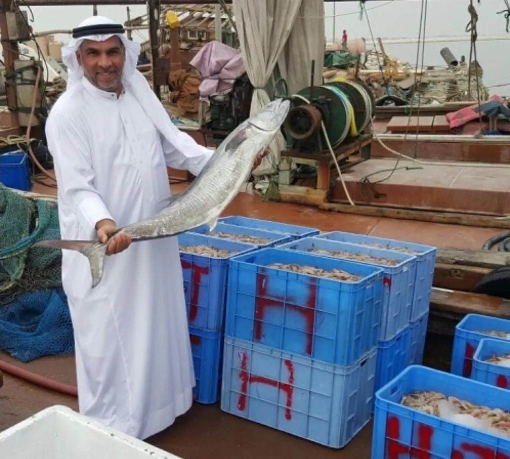 «الكنعد» يعود إلى أسواق المنطقة بتوقعات انخفاض الأسعار 50%.. ورضا الفردان: «البلدي» لم ينقطع خلال فترة الحظر