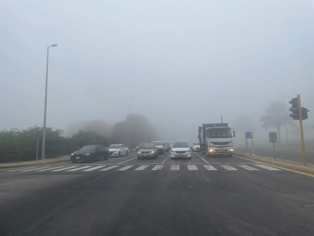 صور.. الضباب يغطي أجواء القطيف