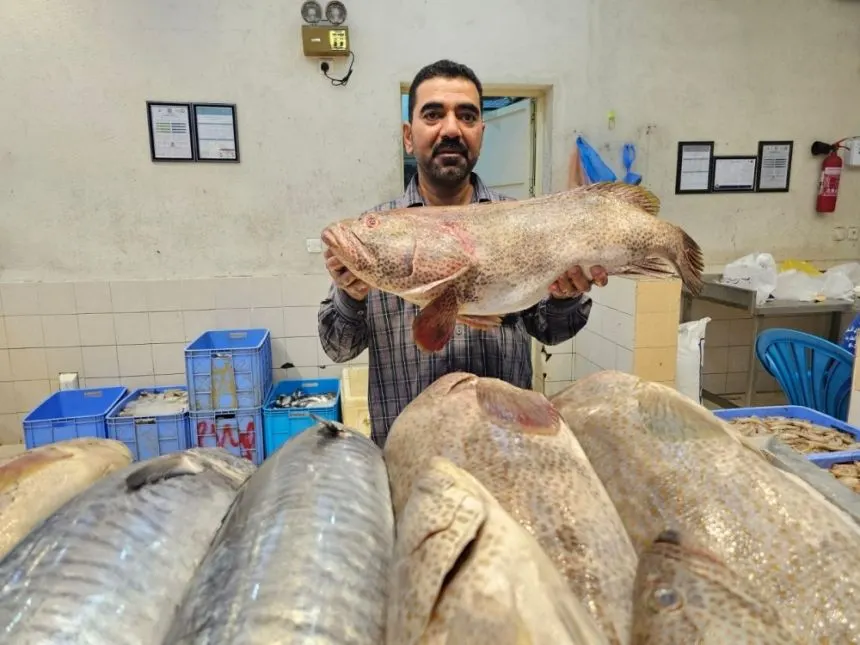 %30 انخفاضًا في أسعار الأسماك بعد تحسُّن الأجواء ومواسم بعض الأصناف بالقطيف