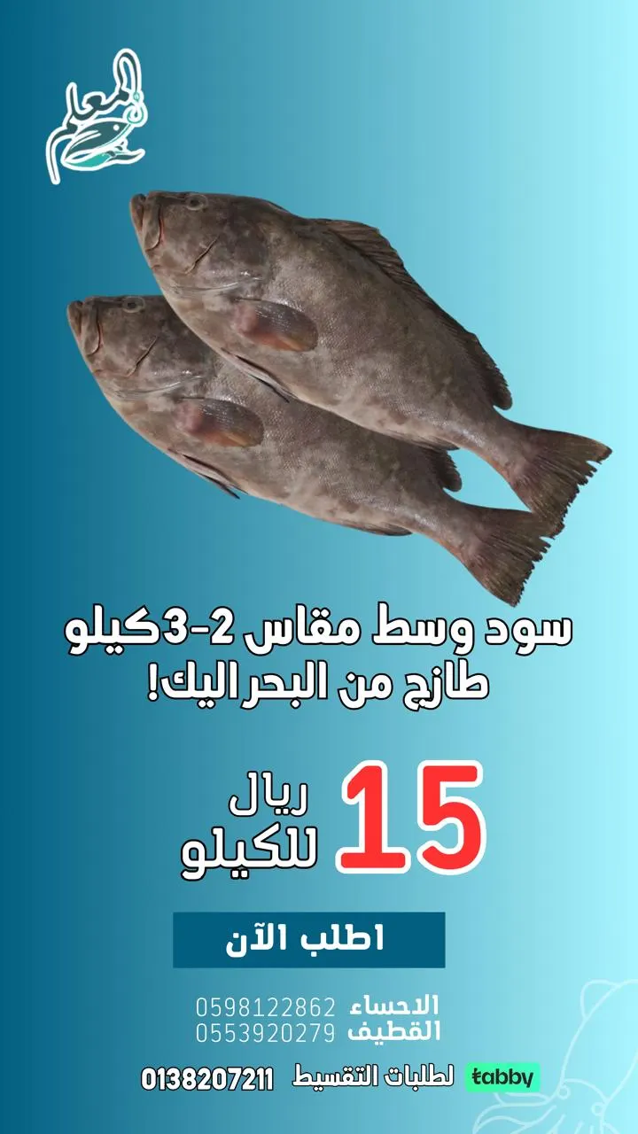 عرض تحطيم الأسعار من المعلم للأسماك على السود (من سلالة الهوامير).. 15 ريال للكيلو فقط.. مع خدمة تابي والتوصيل وين ماكنت