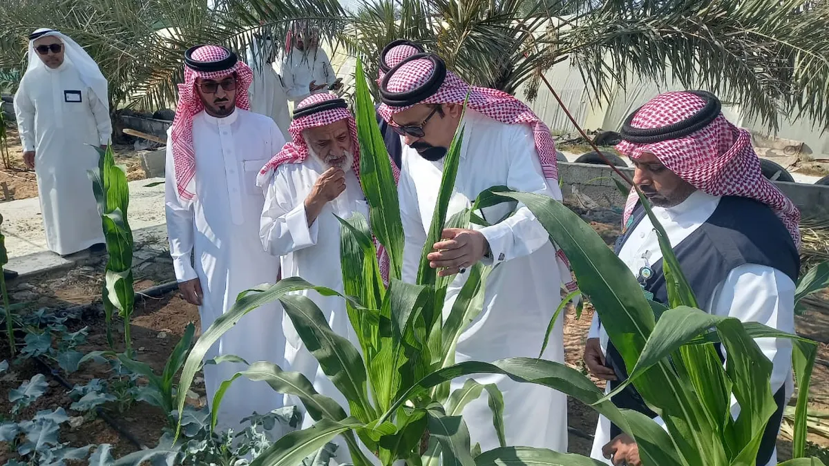 في القطيف.. مكتب البيئة والمياه والزراعة يحتفي بيوم الغذاء العضوي