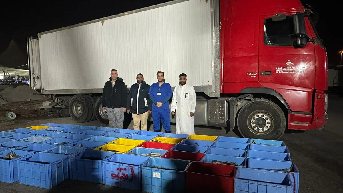 بينها السلطان إبراهيم وبغل الهامور.. الرقابة تضبط طنين من الأسماك المستوردة الفاسدة.. قبل وصولها للمستهلك في سوق السمك بالقطيف