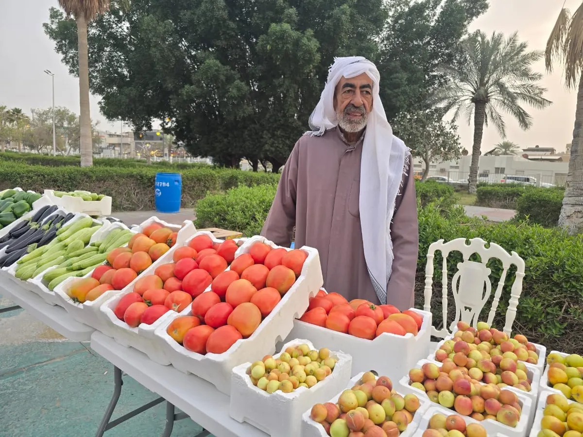جعفر.. يد من القديح تزرع منذ 40 عامًا.. وتبسط إنتاجها في متنزه سيهات