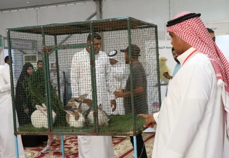 القطيف تستعد لانطلاق النسخة الثانية من «عالم الحيوانات الأليفة» على الواجهة البحرية بالمجيدية