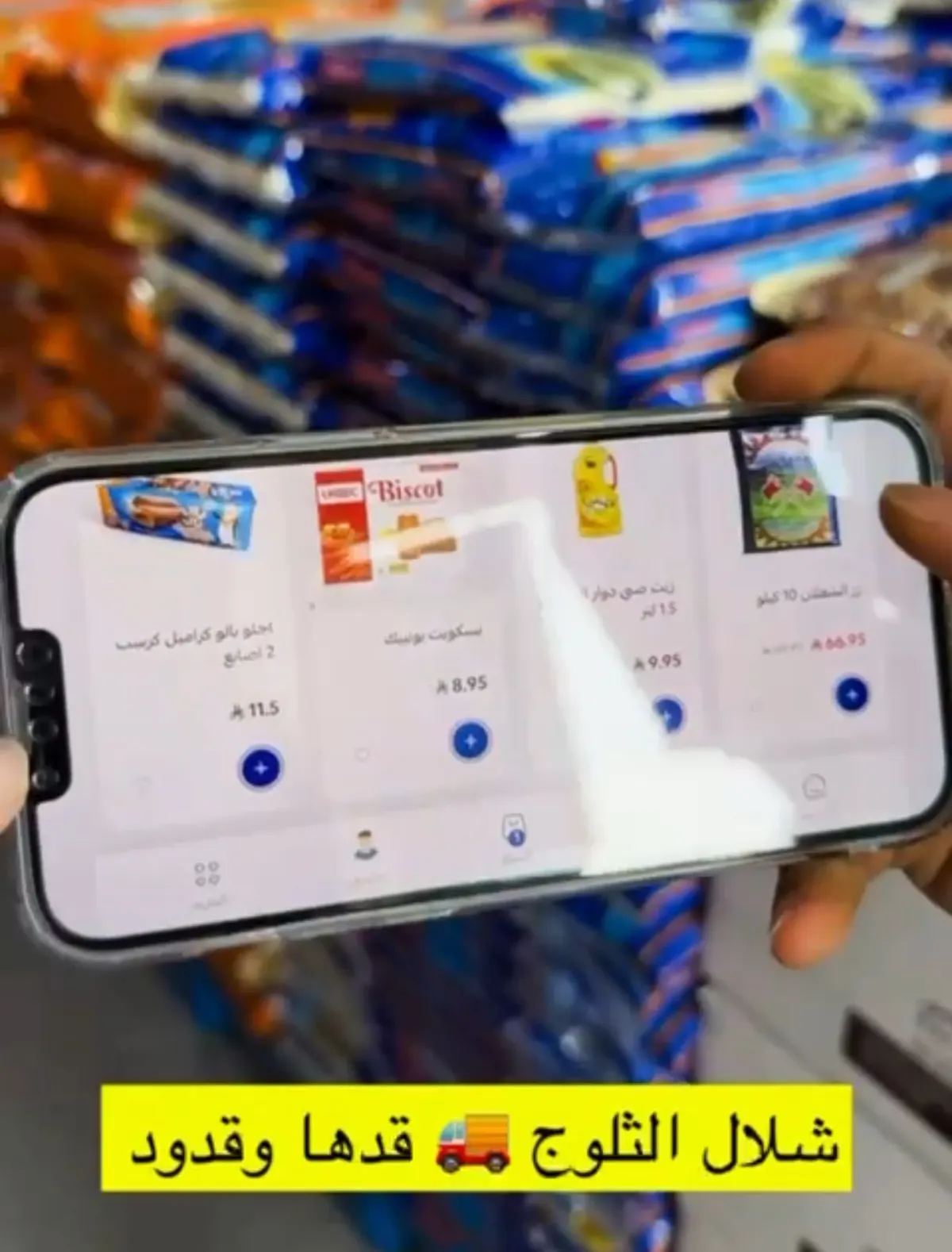 شلال الثلوج.. قدها وقدود