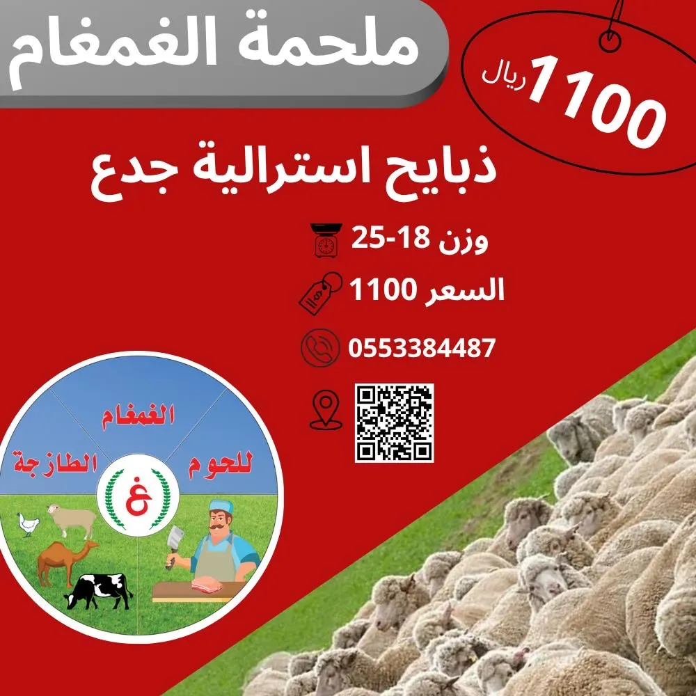 ذبيحتك من الغمغام.. وزنها ثقيل وسعرها قليل.. جدع استرالي بـ1100 ريال بس