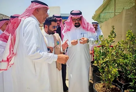 بيئة القطيف تحتفي باليوم الدولي لغابات المانجروف
