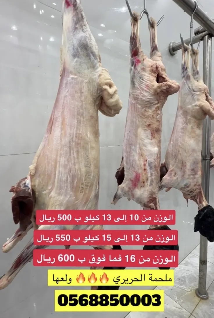 ملحمة الحريري.. تلحق أو ما تلحق