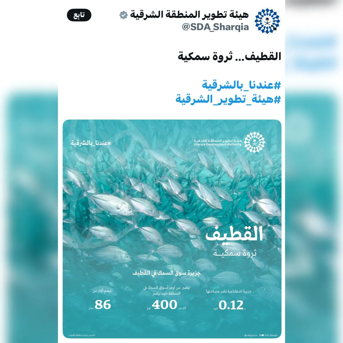 تغريدة هيئة تطوير الشرقية تضع القطيف في صدارة الثروة السمكية.. تحتضن أكثر من 400 صنف من الأسماك