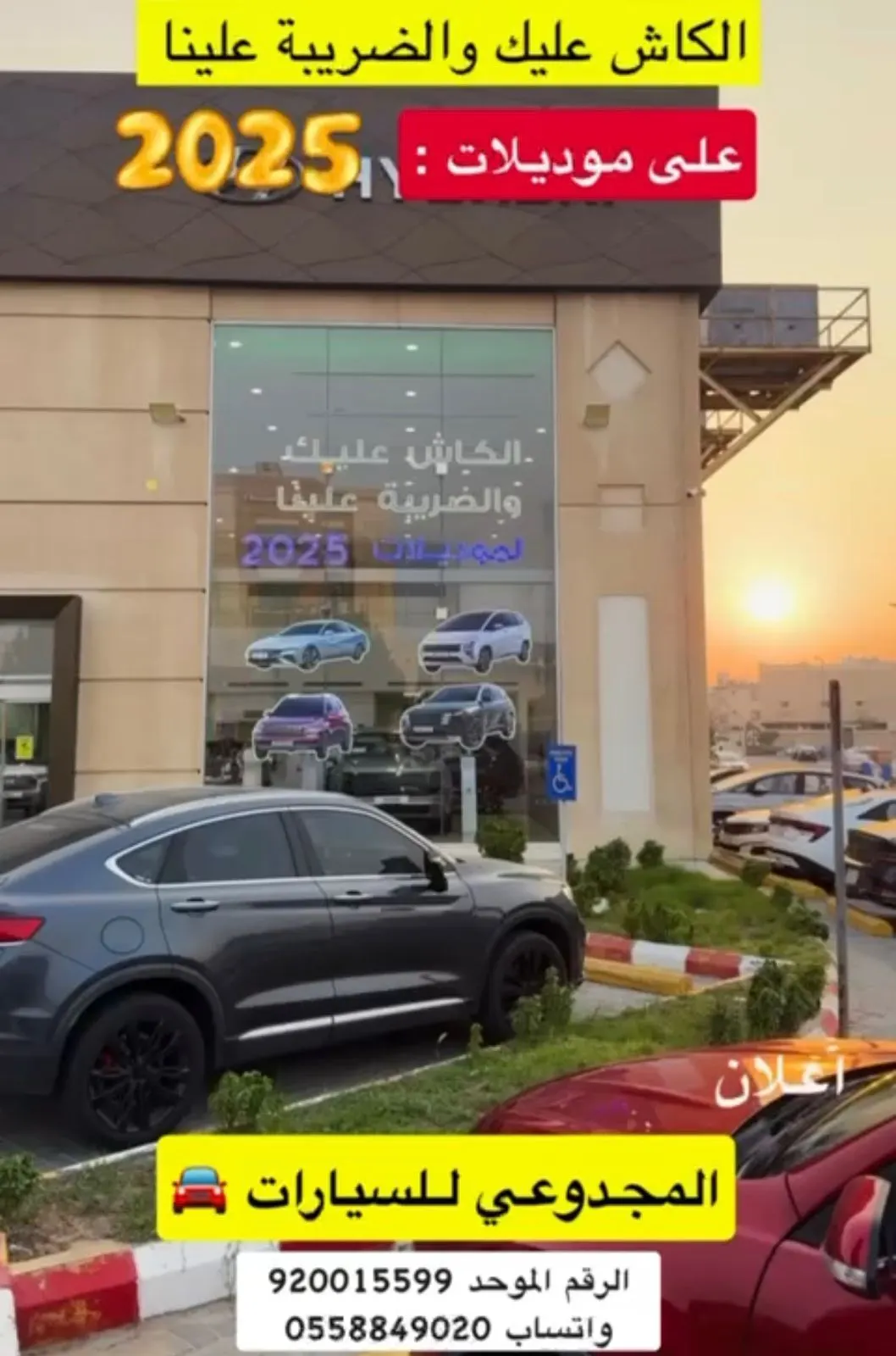 المجدوعي للسيارات.. الكاش عليك والضريبة علينا