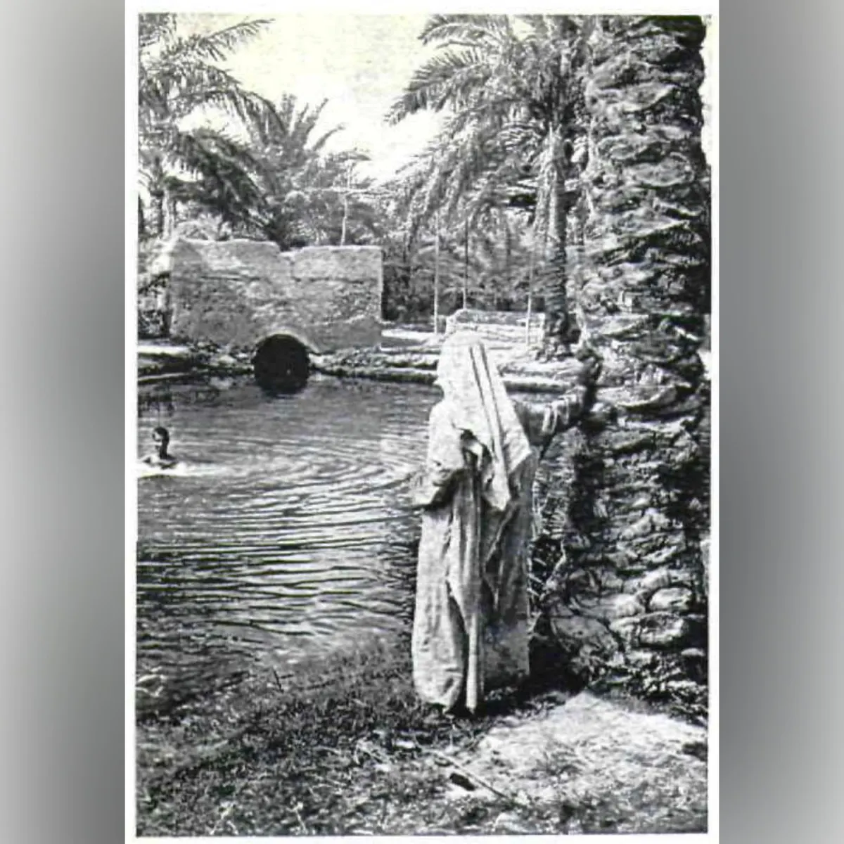 صفوى في الخمسينيات.. صورة ساحرة من أرشيف أرامكو تُعيد الحياة إلى زمن العيون والنخيل