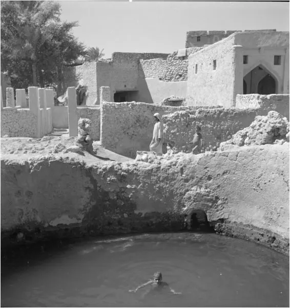 من قلب دبابية القطيف.. صورة مذهلة من 1947 تعيد «عين العودة» إلى الحياة بعد أن نضب ماؤها