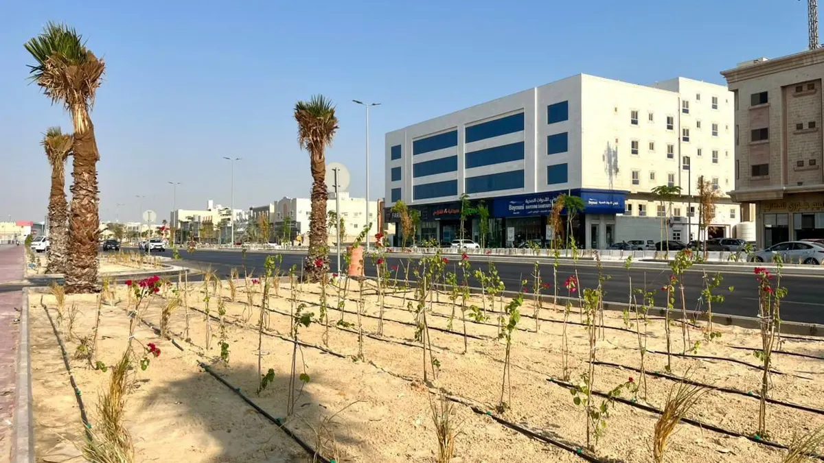 6600 شجرة.. «القطيف» تمضي نحو بيئة أكثر جمالًا واستدامة