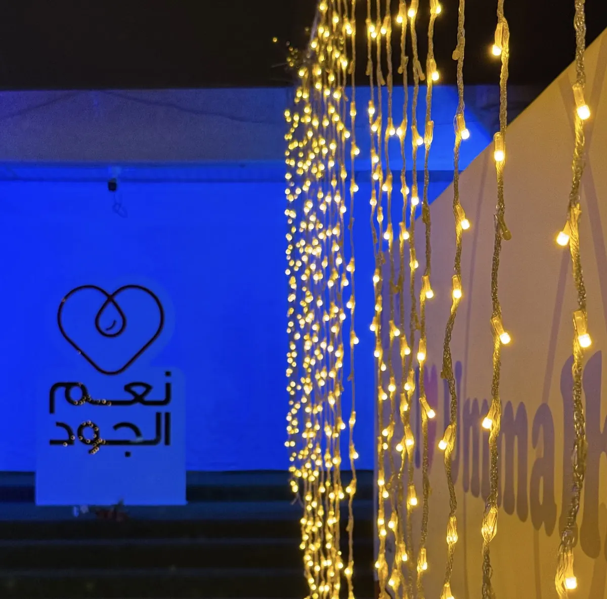 «111» متبرّعة في ختام فعاليات النساء بحملة «نِعْمَ الجود 19».. والرجال الأسبوع المقبل