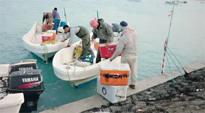 إنشاء مرفأي القطيف والزور ينهي معاناة 750 طرادا