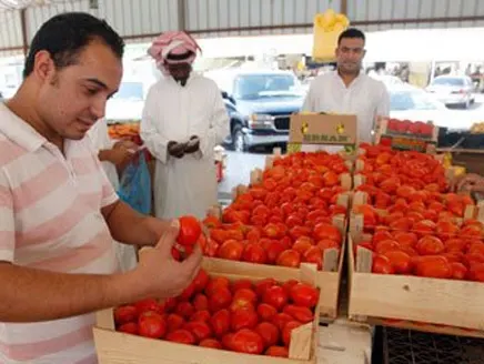 ارتفاع كبير في أسعار الخضار.. والطماطم تقفز بأكثر من 27%