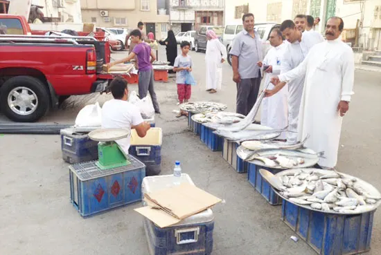 الزراعة: ضبط استيراد الأسماك.. وسعر عادل للمستهلك والمستثمر