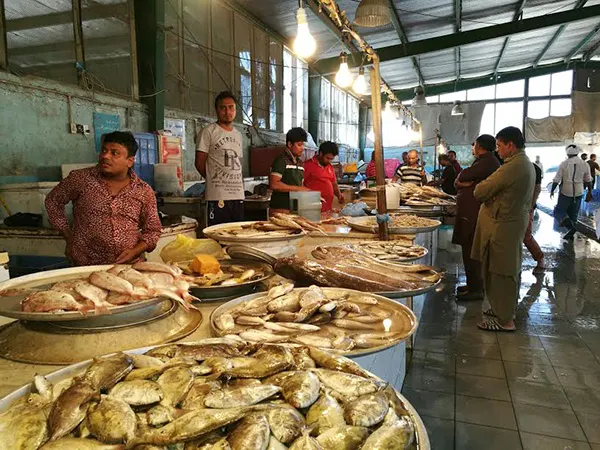 القطيف.. باعة سوق السمك يشتكون.. والبلدية: الرقابة مستمرة