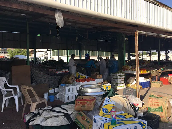 «تنمية القطيف» تُعرف الأطفال على مصادر الخضار ومواسمها في السوق