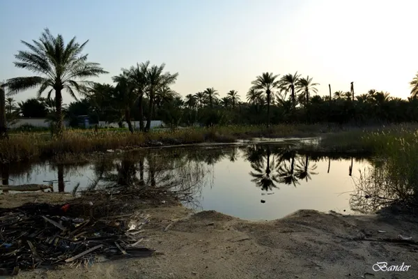 مشاكل تغطية المصارف الزراعية تدفع ”التحسين“ لدراسة الحلول بعد اختناق المزارع