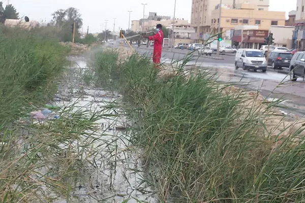 الإرشاد الزراعي يُحذر: لا ترش المبيدات في هذه الظروف