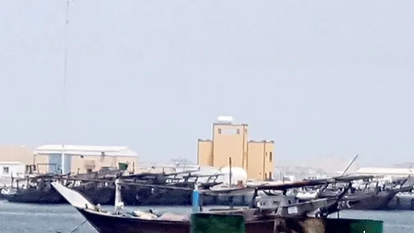 «البيئة» تبدأ بتطبيق «مشروع صياد» وتمنح الصيادين مميزات ومهلة تصل إلى 6 أشهر