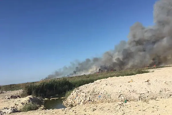 حريق يلتهم 10 آلاف متر من غابة «المانجروف» بتاروت