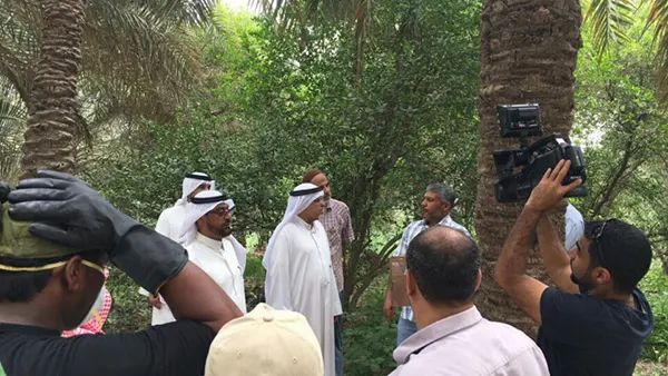 ”ذبابة الفاكهة وطرق مكافحتها“ ندوة في مزرعة بـ ”رامس العوامية“