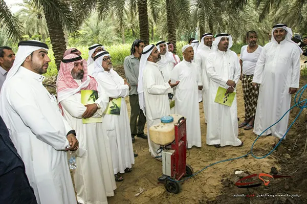 ”زراعية الشرقية“ تطلق حملة لمكافحة حفار ساق النخيل