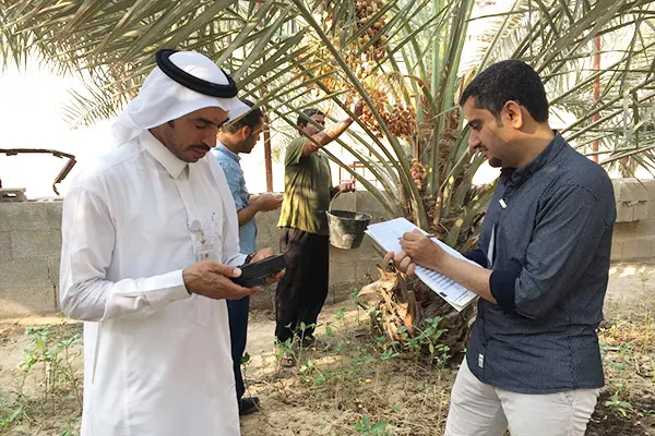 ”البيئة“ تنفي فرض رسوم شهرية على النخيل والمواشي