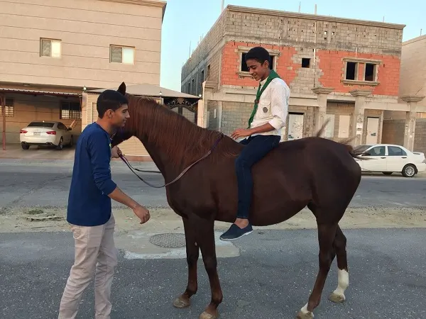 «كشافة رسل السلام» تدرب 10 من كوادرها على ركوب الخيل