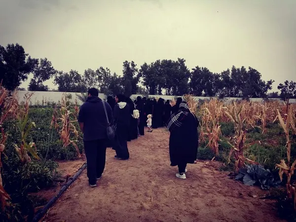 «بيتي بستاني» يعنى بتثقيف المرأة زراعياً ويرافق 77 مهتمة في مزراع القطيف