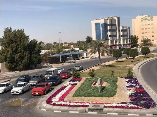 بلدية القطيف تزرع مليون وردة في شوارع وأحياء المحافظة