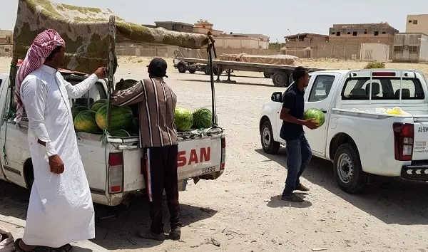 بلدية صفوى تُزيل أنقاض ونفايات وتضبط مواد غذائية غير صالحة