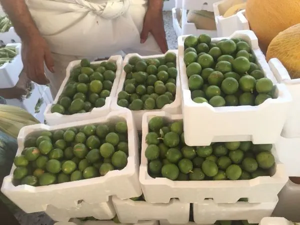 اللومي الحساوي ينافس التمور في الأحساء