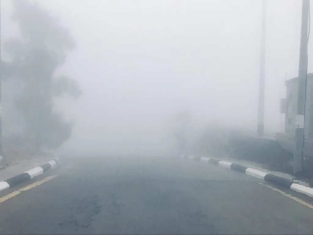 ”الأرصاد“ يحذر: ضباب كثيف يهدد السلامة المرورية في الشرقية