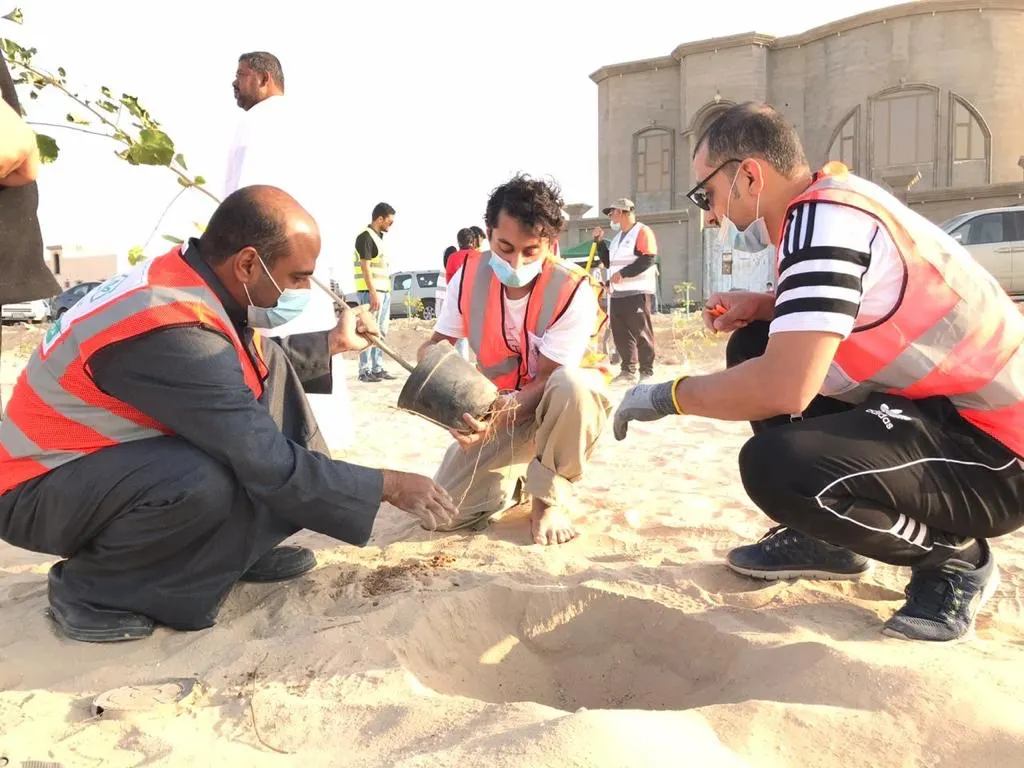 بالصور.. تشجير حديقة ضاحية هجر بحضور 30 طفلًا