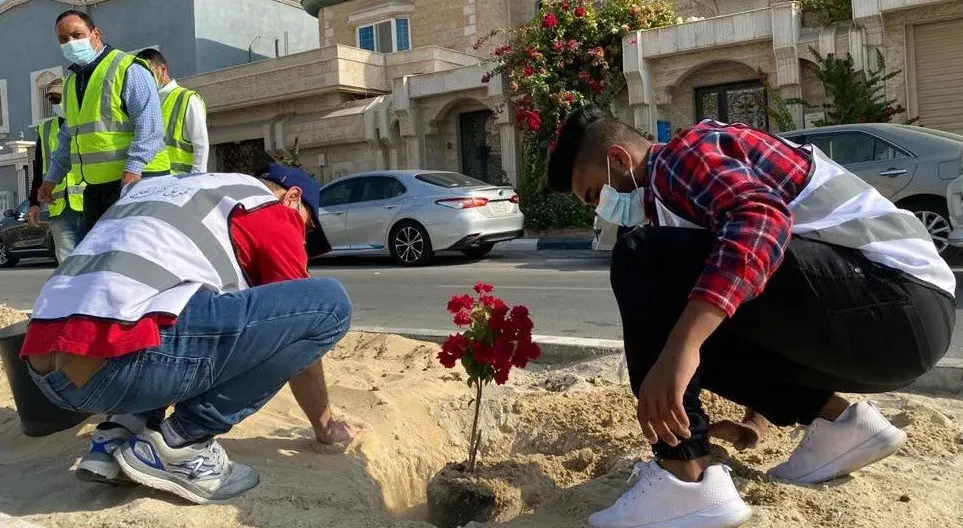 القطيف.. زراعة 250 شجرة بشارع عبدالرحمن بن عوف في عنك