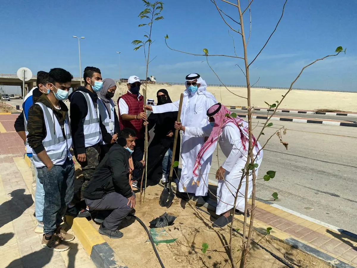 صفوى.. 90 متطوعًا يزرعون 350 شجرة في شارع سفيان بن سهل