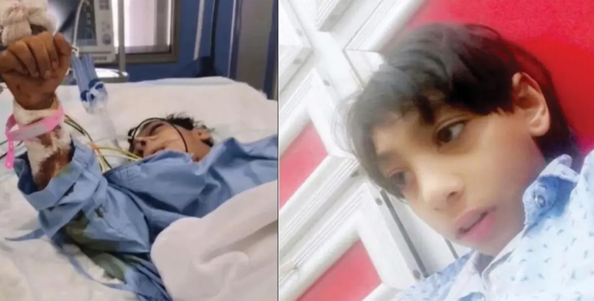 المأساة تتكرر في الأحساء.. كلاب ضالة تنهش جسد فتى وتودي بحياته