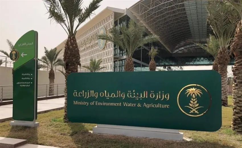 تعديل آلية تطبيق إيقاف زراعة الأعلاف الخضراء