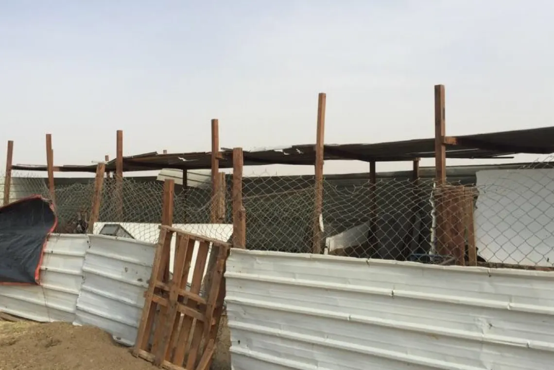 تفاعل ”بلدي“ مع شكوى وجود ”زريبة غنم“ بحي الزور